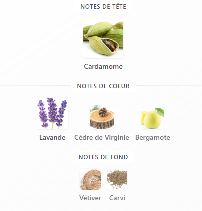 La Nuit de l'Homme DE Yves Saint Laurent
