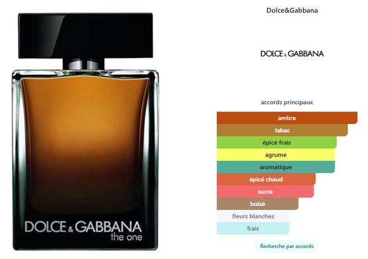 Dolce Gabbana the one