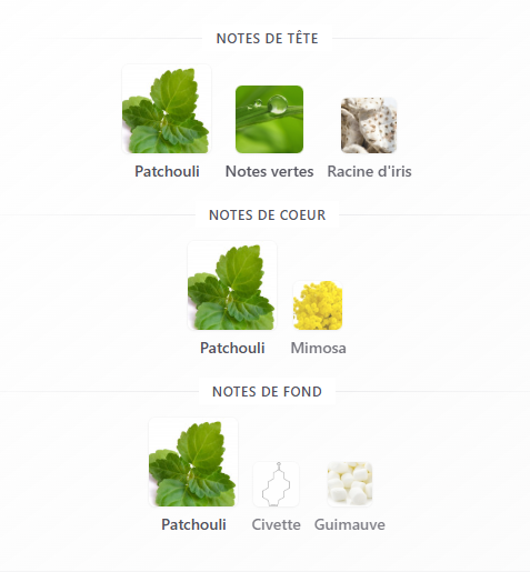 Sole Patchouli Vertus