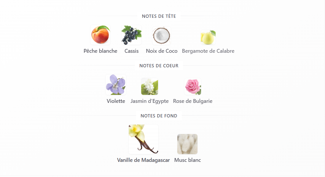 Black Vanilla Mancera