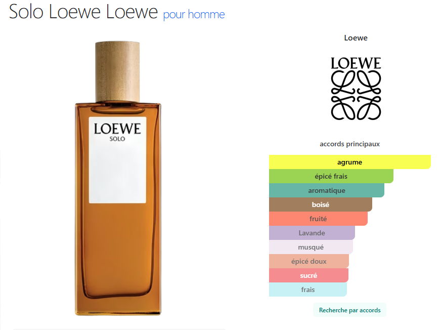 Solo Loewe Loewe pour homme