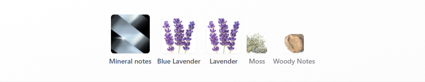 Boss Bottled Striking Lavender Hugo Boss