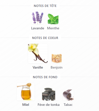 Jean Paul Le Male Elixir