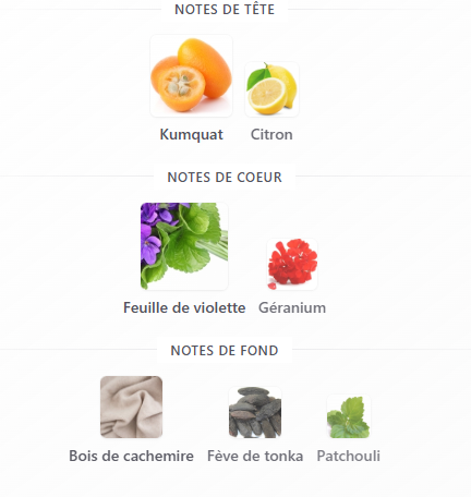 Le Beau Flower Edition