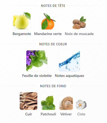 Acqua di Giò Elixir