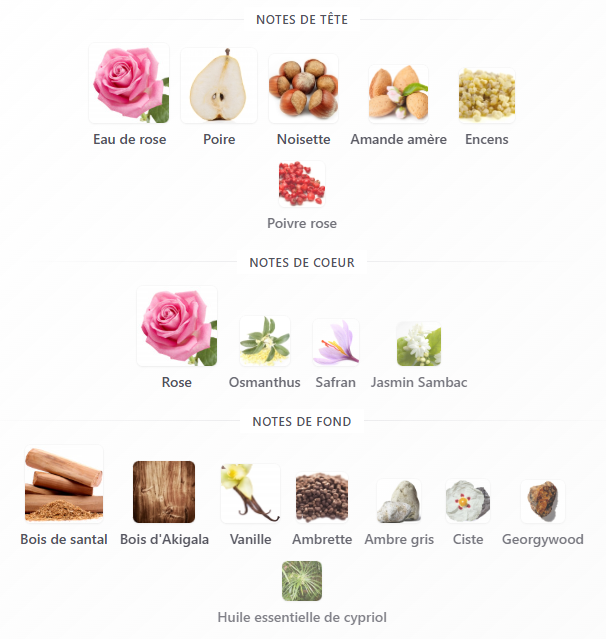 Amouage Guidance
