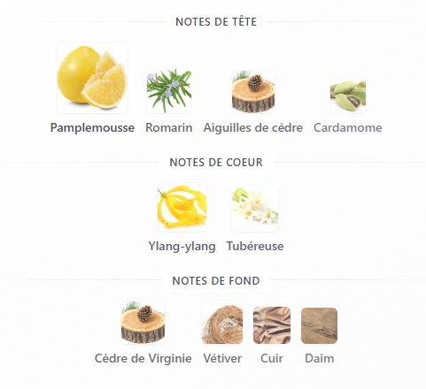 Lacoste  Blanc