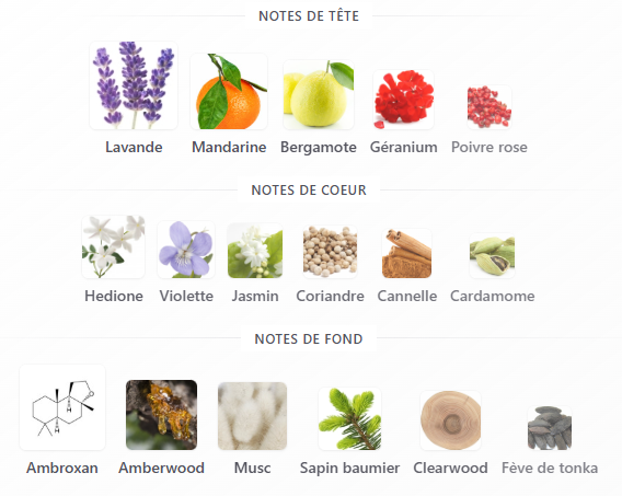 Percival de Parfums de Marly